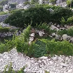 Casa vacanze Holiday House Marijana