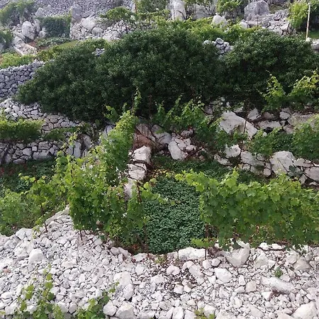 Tatil Evi Holiday House Marijana